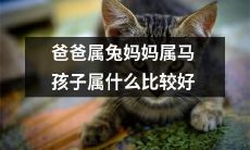 父亲为兔，母亲为马，孩子该属于哪个生肖才更好呢？