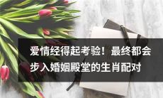 不同生肖配对的经历考验的爱情，最终走向婚姻殿堂