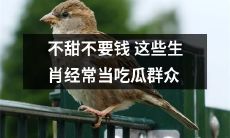 在食材界独树一帜:只有十二生肖中的这些动物才足够精选、口感绝佳,不甜不要钱,让你能够一边吃瓜,一边尝到美味肆意的尝试!