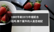 1985年出生的属牛人和1973年出生的属牛人是否适合牵手走过一生？