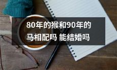 能否成功地将80年生肖猴与90年生肖马作为配偶?