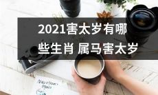 2021年，受到太岁影响的哪些生肖属马将面临吉凶祸福的变化？
