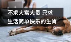 十二生肖中心态平和，追求简单快乐生活的人们