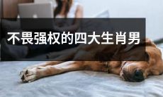 四大胆敢挑战权威的生肖男