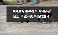 8月份生肖运势旺盛，财运大涨，事业顺风顺水，一切如沐春风！