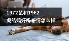探究1972年生肖鼠和1962年生肖虎的婚姻配对，从感情表现和合适度两方面分析其婚姻关系是否牢固与成功