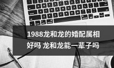 1988年生龙和龙的属相匹配是否合适？他们的婚姻是否能够长久幸福？