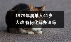 1979属羊人41岁大难降临，有何应对方法及化解之道？