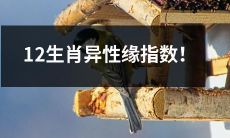 12生肖异性缘分水平大考验！谁最受欢迎？