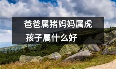 如果爸爸是属猪，妈妈是属虎，那么他们的孩子应该是哪个属相？