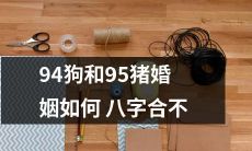 如何通过八字来判断94年出生的狗和95年出生的猪之间的婚姻配对是否合适？
