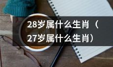 在中华文化中,28岁与27岁人的属相是什么?