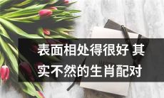 通过表面相处看不出来，但实际上并不合适的生肖配对解析