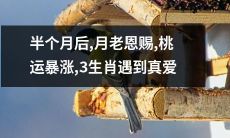 经过半个月的等待，月老厚爱垂青，三生肖迎来桃花运暴涨，感情幸福美满，真爱降临！