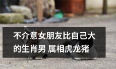 热爱挑战自我，不介意女友比自己年长的虎、龙、猪属相男生