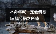 本命年不一定带来坏运气：探究福祸之间的微妙关系