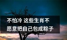 不畏严寒！这些生肖宁愿忍受冷风刺骨，也不愿将自己裹成可口的粽子
