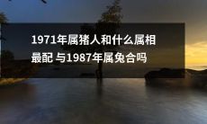 在中国的农历独特体系中，1971年出生的属猪人应该搭配哪个属相最合适？而1987年出生的属兔人是否与属猪人的缘分相合呢？