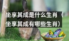 哪些生肖属于坐享其成状态？