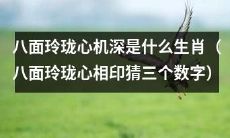 通过八面玲珑心机深的特质猜测属于哪三个生肖（答案通过八面玲珑心相印猜三个数字活动揭晓）