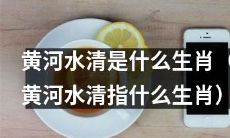 哪个生肖代表黄河水清？（黄河水清的象征生肖是哪一个？）