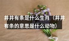 请问井井有条这个词所代表的生肖是什么？（探讨井井有条一词所指代的动物）