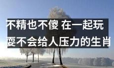 与之玩耍不会造成压力的生肖 —— 不需过于精明亦不愚蠢