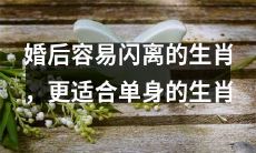 拥有高离婚率的婚姻生肖,更适宜于过单身生活的生肖选择