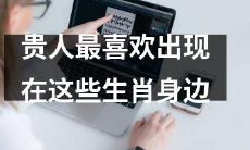 哪些生肖最经常能够得到贵人帮助和助力？