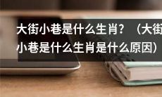 为什么大街小巷都是什么生肖?探究它的原因!