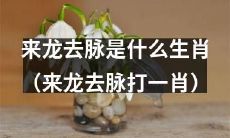 来龙去脉到底是哪一个生肖？（挖掘来龙去脉生肖之谜）