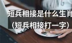 哪个生肖的特点与“短兵相接”相符？（又可用“短兵相接”谐音的“断线重接”）