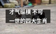 四大才气纵横、独领风骚、翘首以待世人称颂的生肖群英