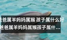 根据生肖来预测，爸爸属羊妈妈属猴，那么孩子属什么适合呢？