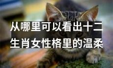 如何从十二生肖女性格中寻找温柔的表现？
