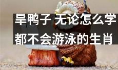 无论如何努力，都无法掌握游泳技能的旱鸭子：生肖中的独特存在