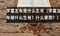 什么是学富五车生肖，这个传统的中文成语指代什么含义？