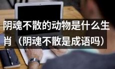 什么生肖会成为阴魂不散的动物形象？（阴魂不散是个成语吗？）