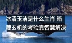 如何解密“冰清玉洁”生肖,考验你的智慧和洞见力