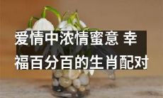 十二生肖配对指南：探寻浓情蜜意，满杯幸福的爱情奥秘