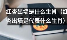 哪个生肖被称为“红杏出墙”?