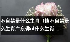 广东佛UL：情不自禁是什么生肖？