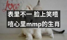 十二生肖中，表外笑嘻嘻、心中不屑的人瑟瑟发抖！