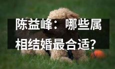 陈益峰探讨：根据星座属相的匹配程度，哪些属相在结婚时更为理想和匹配？