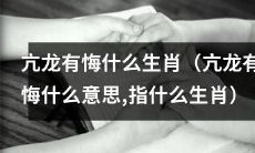 揭秘亢龙有悔的寓意，有哪些生肖与之相关