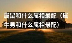 十二生肖之属鼠者与何种属相配对最佳？究竟是属牛男配何种属相最合适？