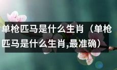 单枪匹马是哪个属相的象征？（最准确的答案）