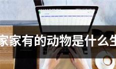 什么生肖是每个家庭都会拥有的动物呢？