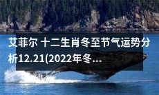 2022年冬至之后的艾菲尔十二生肖节气运势分析：探究各生肖在12.21日后的运势走向