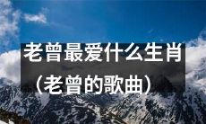 老曾最钟爱哪个生肖——探寻“老曾的歌曲”中的隐藏信息